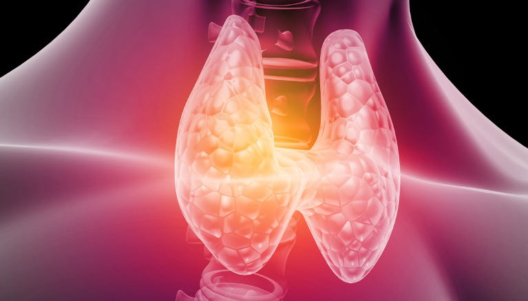 Endocrinology