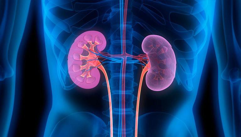 Nephrology